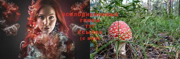 бошки Волосово