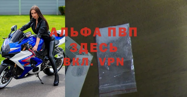 spice Верея